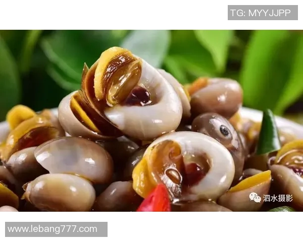 天津足球场周边美食推荐与观赛攻略助你享受精彩赛事体验