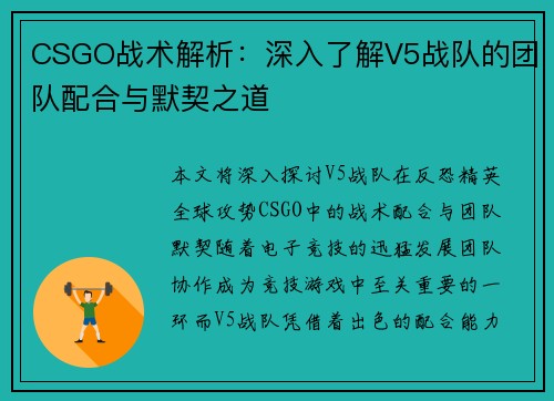 CSGO战术解析：深入了解V5战队的团队配合与默契之道