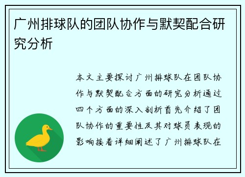 广州排球队的团队协作与默契配合研究分析