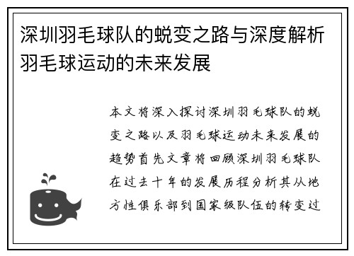 深圳羽毛球队的蜕变之路与深度解析羽毛球运动的未来发展